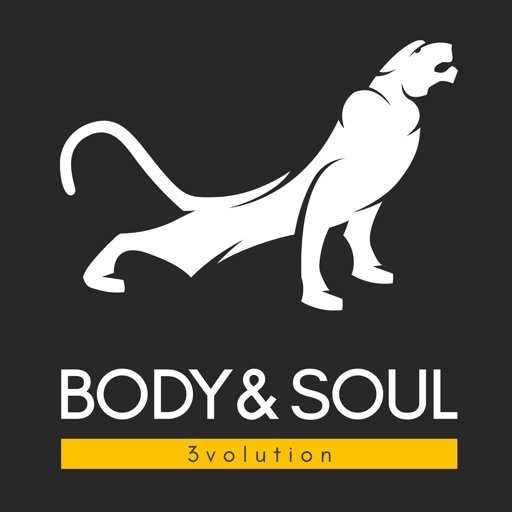 Body & Soul 3volution icon
