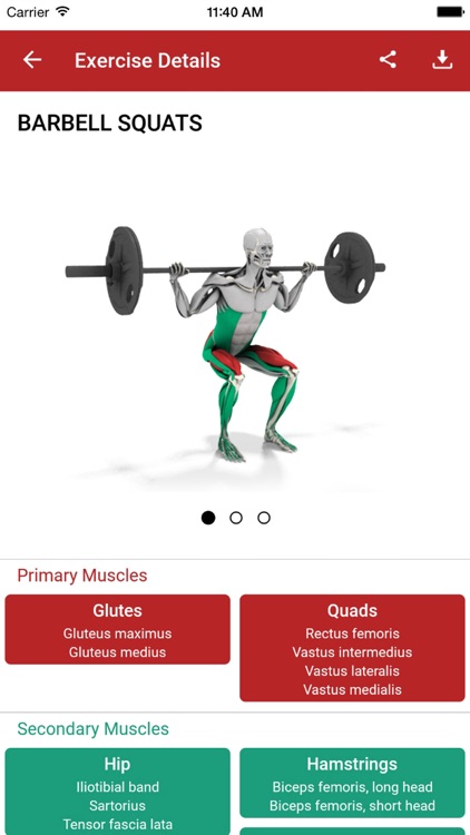 MuscleMatics