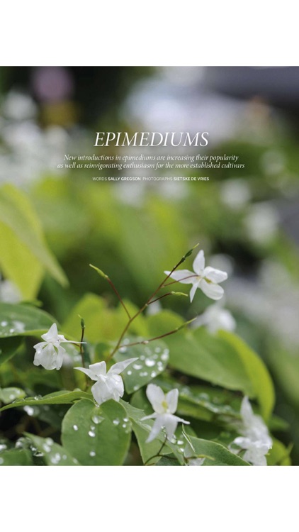 Gardens Illustrated screenshot-7