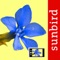 *** Die einzige App um Blumen automatisch durch Fotoerkennung zu bestimmen