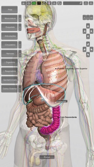 Introdução Anatomia Humana 3D(圖4)-速報App