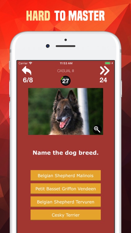 Dogs Trivia - Canis Breed Quiz screenshot-4