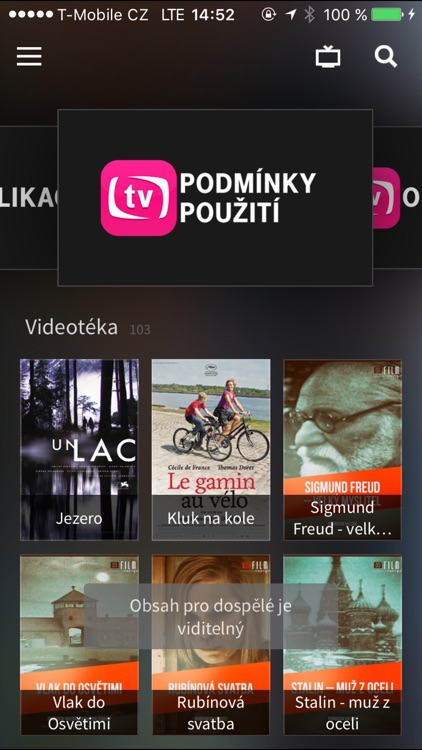 Mobilní TV