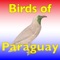 In "The Birds of Paraguay" all species of birds regularly found in Paraguay are described, and their approximate size given in inches and tenths of inches