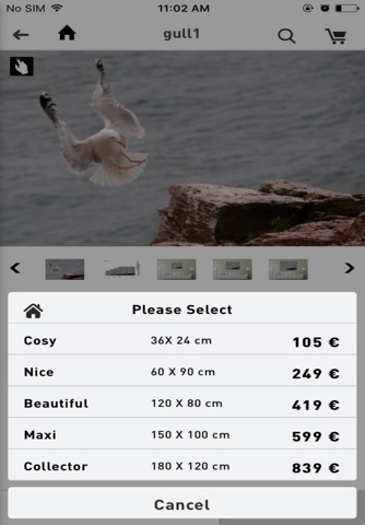 Zilikoo - Shopping App Limited Edition Photographs screenshot 4