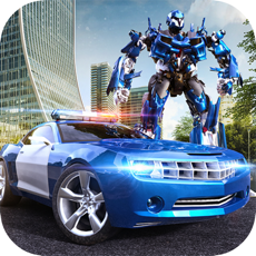 Activities of Extreme Car Battle