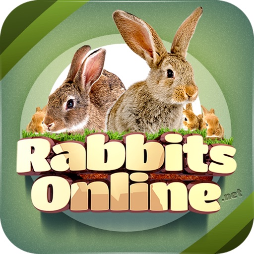 Rabbit Forum Icon