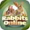 Rabbit Forum