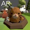 Enjoy a “Whack-a-mole” game in AR mode on your iOS device