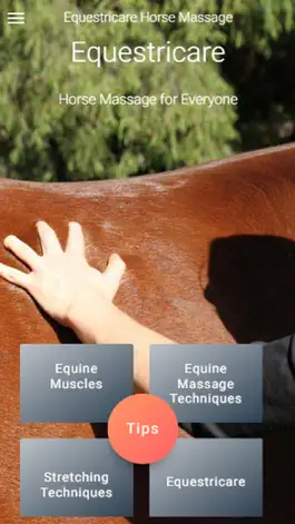 Game screenshot Equestricare Horse Massage apk