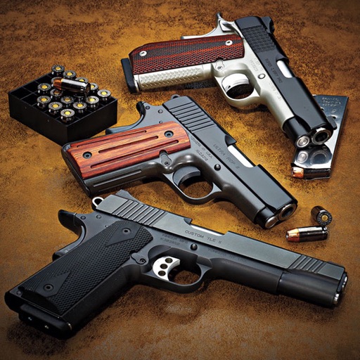 M1911 Handgun Weapon icon