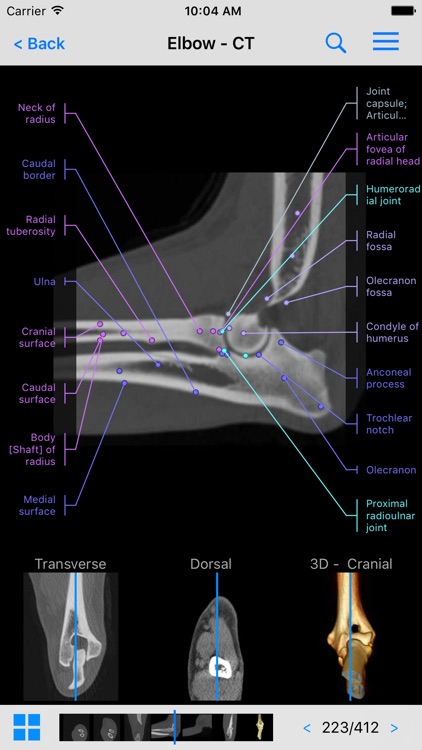 vet-Anatomy