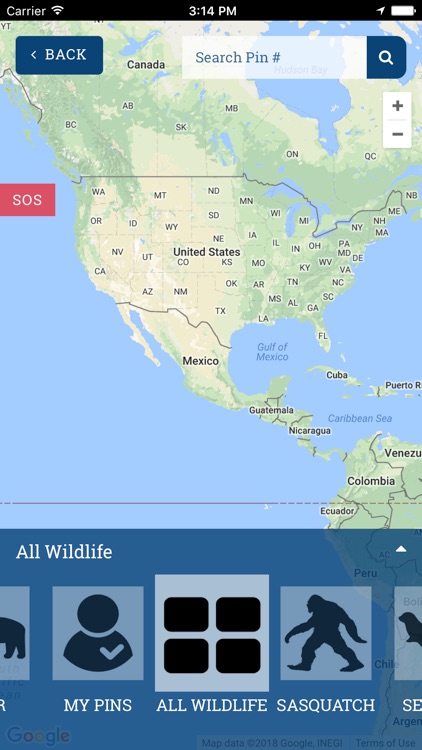 Where`s Wild screenshot-3