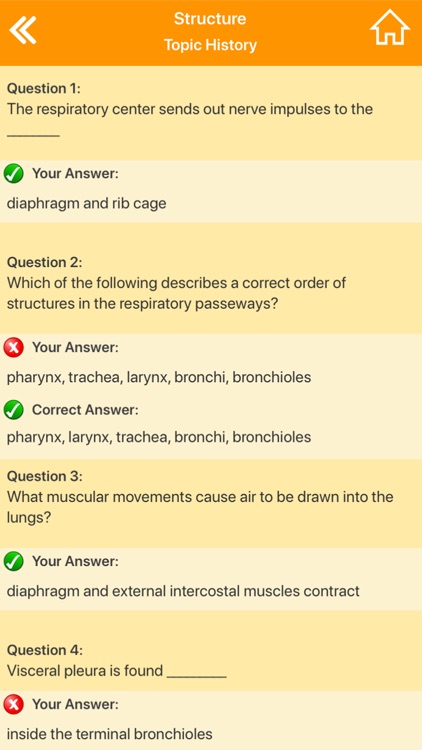 Respiratory System Biology screenshot-3