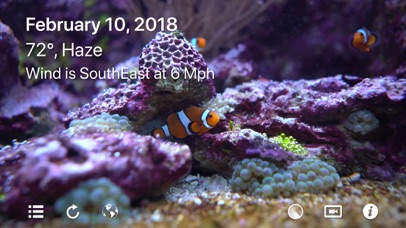 Aquarium 4K - Ultra HD Video screenshot 4