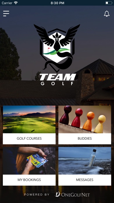 Team Golf screenshot 2