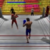 Boxing Revolution 2017 3D Punch Boxing