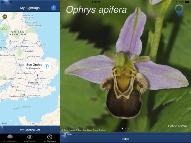 App Store 上的 Orchid Id British Orchids