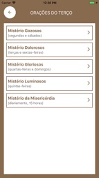 C&iacute;rio de Nazar&eacute; Captura de tela 8