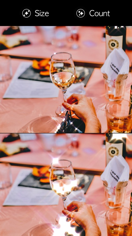 Luna Cam+ Glitter Video Photo screenshot-3