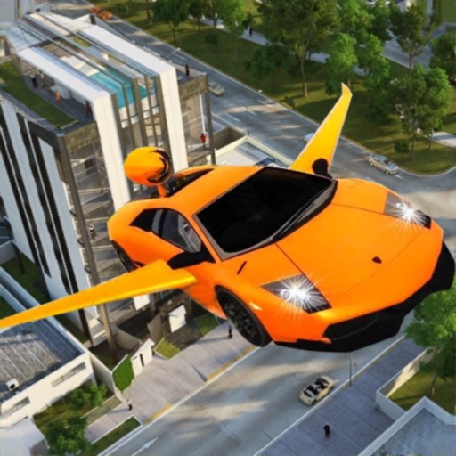 Flying Car 2018