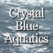 The app is designed to give customers of Crystal Blue Aquatics a way to see their service history