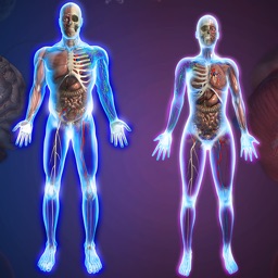 Exámenes del Cuerpo Humano