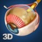 My Eye Anatomy app for studying human eye anatomy which allows you to rotate 360° , Zoom and move camera around a highly realistic 3D model