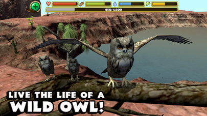 Owl Simulator screenshot 1