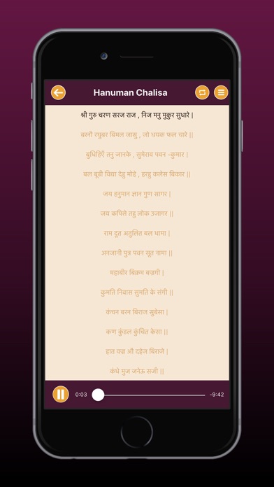 Chalisa Sangrah Audio & Lyrics screenshot 4