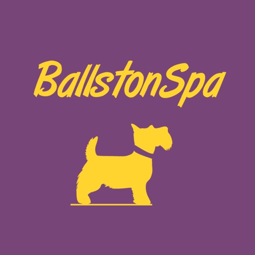 Ballston Spa Central District