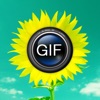 GIFアニメ工房 (Animated GIF Album free)