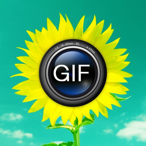 Animated GIF Album free icon