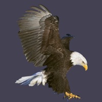 EagleMoji