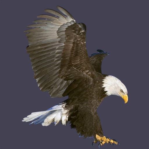 EagleMoji icon