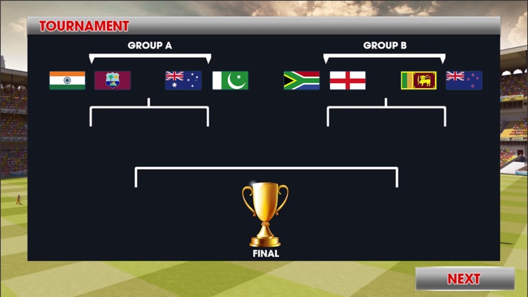 World Champions Cricket T20 screenshot-4