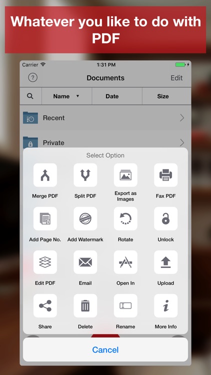 PDF Export