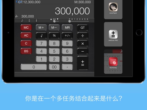 AddCalc Freedom screenshot 2