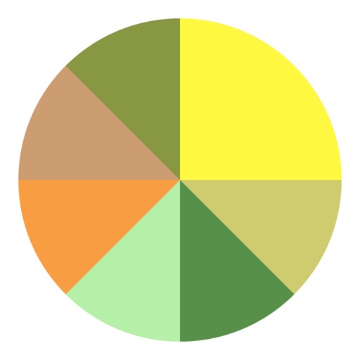 Segments yellow series icon