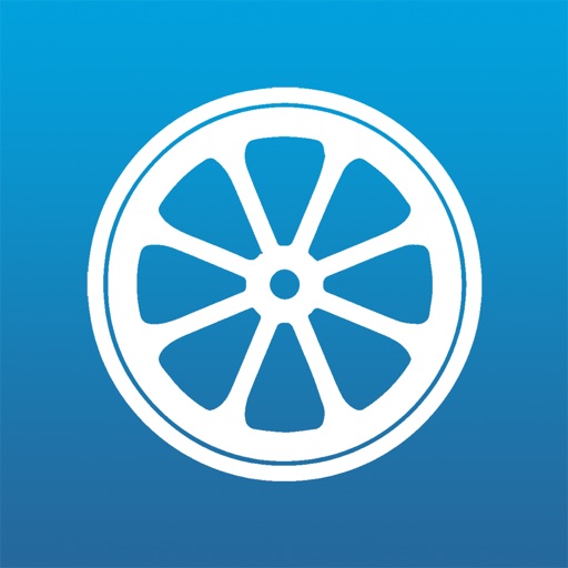 Driver Diary iOS App