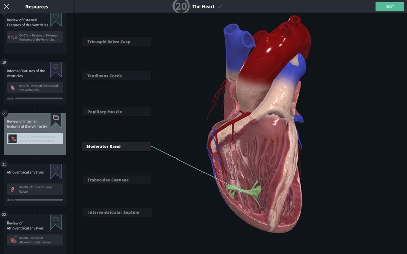 Complete_Anatomy_2019.app caprure 8 8_Complete_Anatomy_2019.jpg