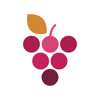 Wine Cellar Database appstore