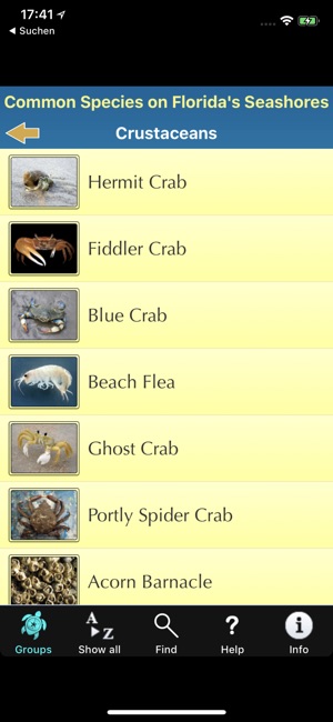 Florida Seashore Wildlife(圖6)-速報App