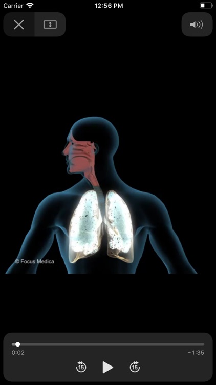 LUNGS - Digital Anatomy screenshot-4