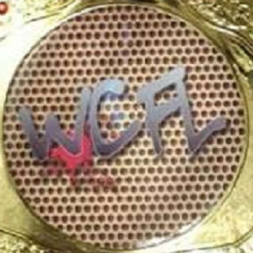 World Class Fight League icon