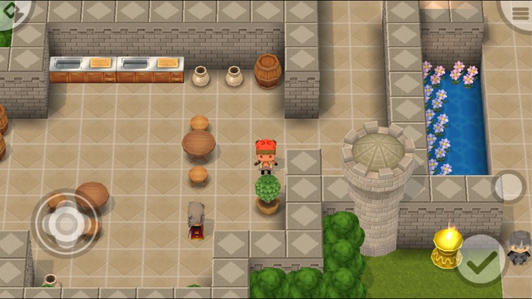 Dragon and Hero 3D RPG screenshot-3