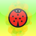 Ladybug Game