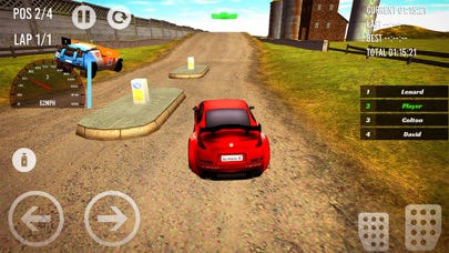 Rally Driver Race screenshot 4