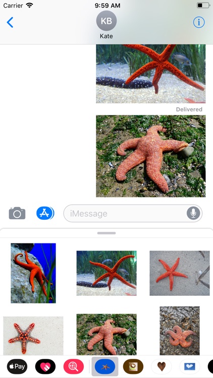 Starfish Sticker Pack screenshot-4