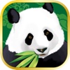 Panda Chinese Slot